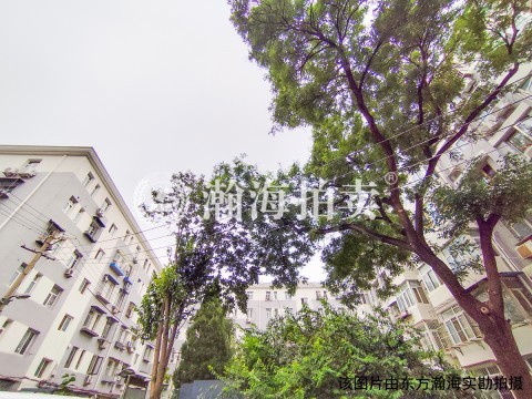 东华门大街20号楼西门605室