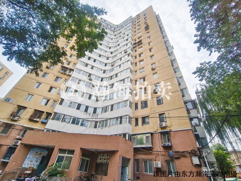知春里13号楼1010室