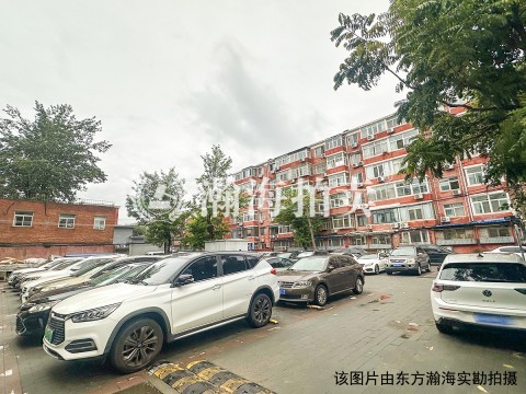 六建4号楼1单元123室
