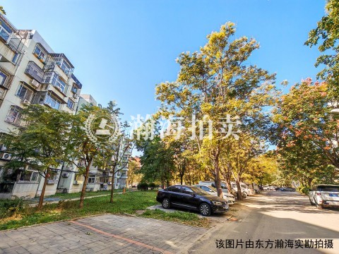 新居里13号楼7单元101室