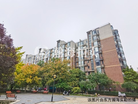 卡布其诺122号楼5单元203室