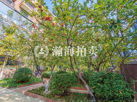 金隅澜湾8号楼4单元501室（别墅带3车位）