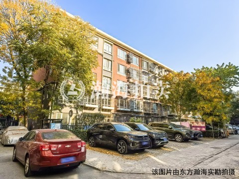 农光里17号楼1单元11室