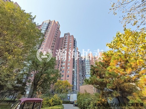 新通国际花园31号楼2单元1504室