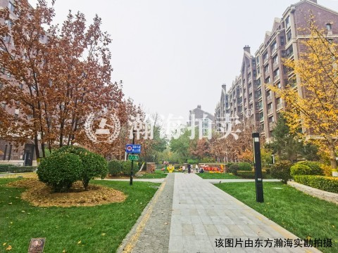 北京城建海梓府15号楼5单元102室（下跃）