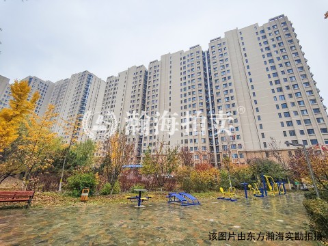 东洲家园4号楼3单元603室