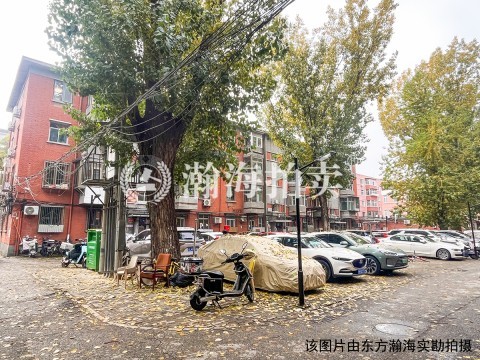 大柳树甲17号院3号楼3单元341室