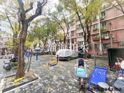 大柳树甲17号院3号楼3单元411室