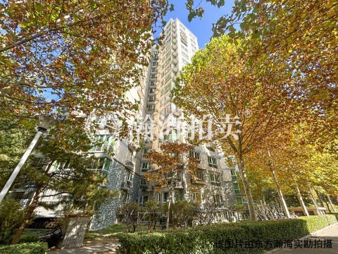 晨月园4号楼814室