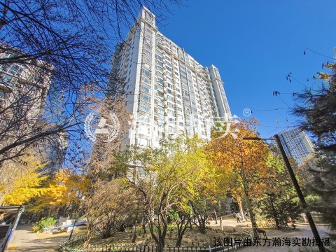 东一时区13号楼2单元802室