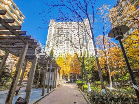 东一时区17号楼1单元802室