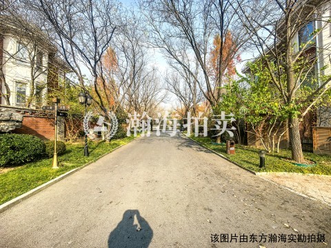 清锦源53号（独栋别墅）