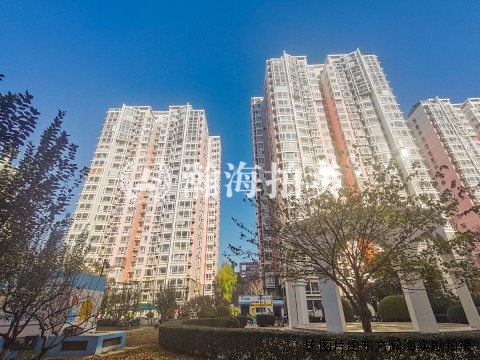 新新公寓6号楼4单元901室