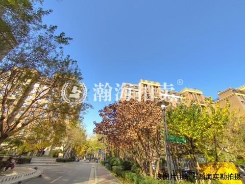 金地仰山东区1号楼3单元902室（复式）