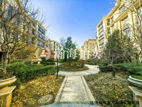 兴创屹墅29号楼3单元101室（联排别墅）