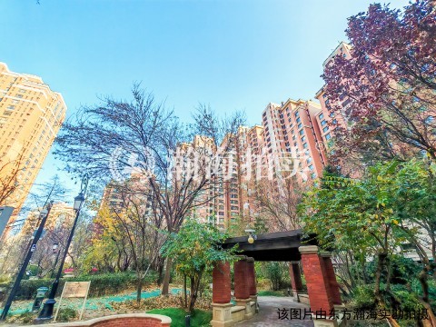 红山世家4号楼2119室