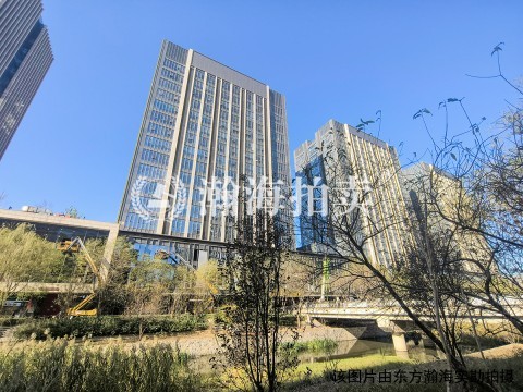 大兴绿地中央广场3号楼2单元1705室