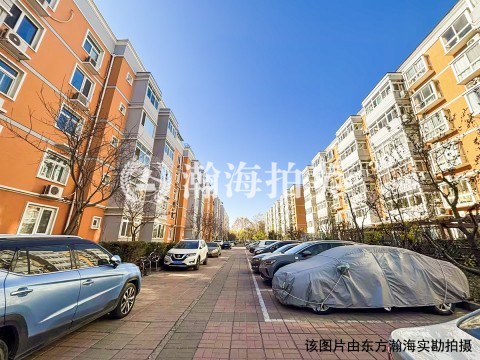 望都家园28号楼3单元202室