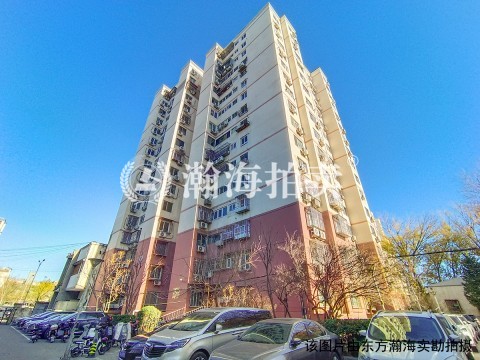 西八里庄北里23号楼803室