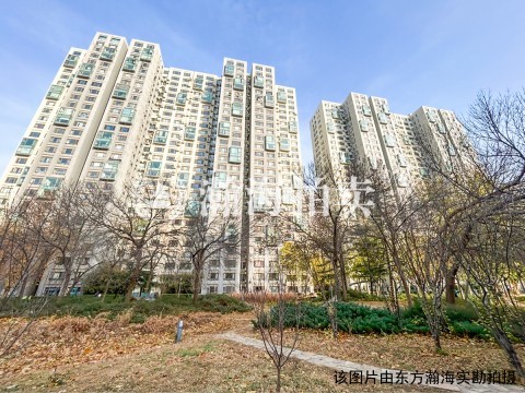 苹果社区南1号楼1至4层、南2、12、13号-1至2层101