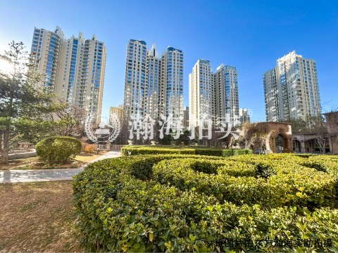 棕榈泉国际公寓10号楼505室