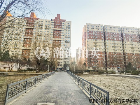 北街家园八区1号楼4单元101室