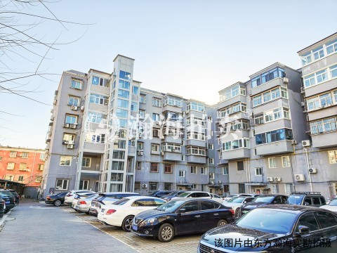 北环里小区55号楼3单元503室