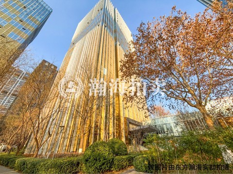 君安国际2号楼1605室