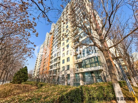 恋日花都13号楼705室