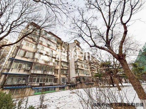 芍药居北里311号楼10单元402室