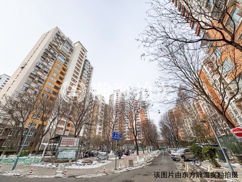 芍药居北里110号楼607室