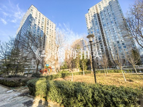 远洋新干线6号楼3A01室