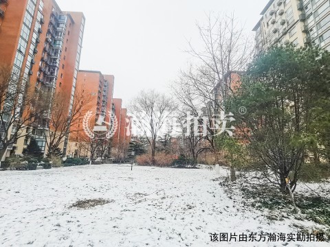 紫金长安15号楼2单元202室