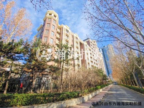 月亮河七星公馆511号楼4单元0206室