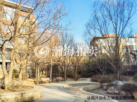 首开常青藤四期30号楼3单元101室（下跃）