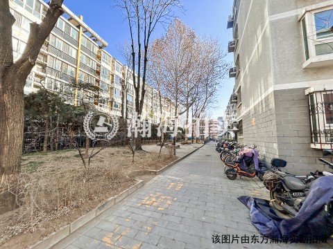 清上园10号楼2单元101室