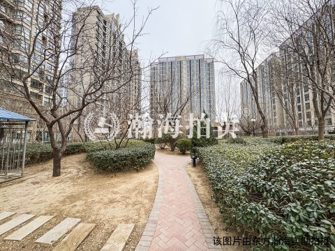 合生世界花园3号楼204室