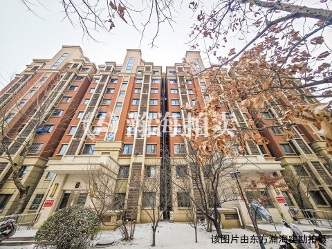 金隅糖7号楼2单元202室