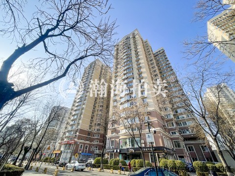 望京西园三区319号楼305室