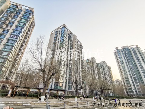 顺驰领海51号楼503室