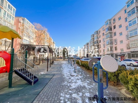 龙兴园中区13号楼4单元502室