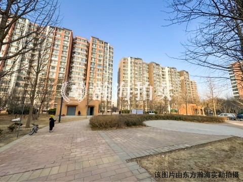 佳世苑小区22号楼3单元101室（下跃）