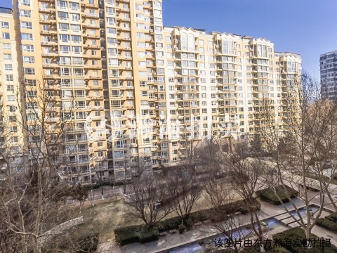 阳光丽景3号楼负1层170号车位