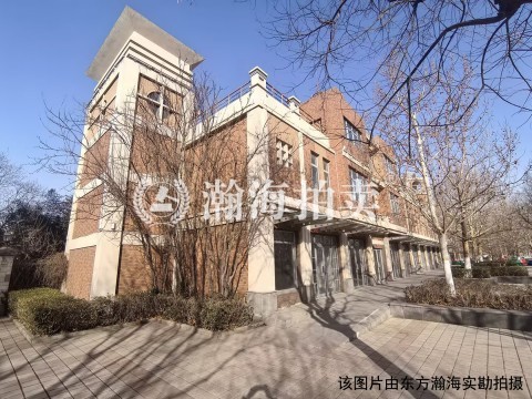 天地美墅三区住宅、商业、地下车库（共393套）