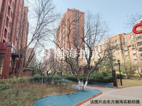 亚奥金茂悦10号楼1单元1602室