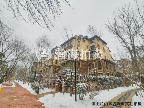 龙湖好望山30号楼1单元202室（复式）