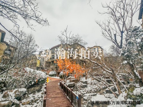 龙湖好望山34号楼1单元202室上叠别墅