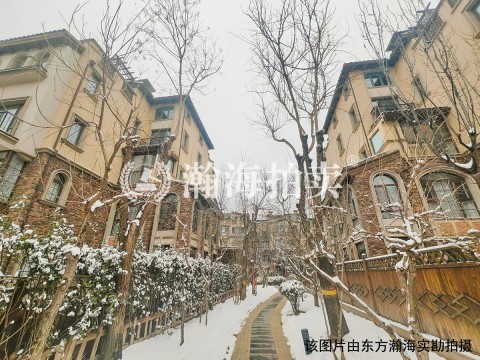 龙湖好望山8号楼1单元101号别墅