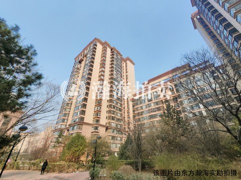 东区国际3号楼608室