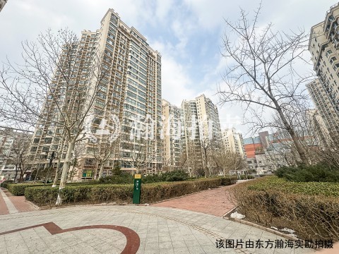 珠江罗马嘉园东区62号楼1203室